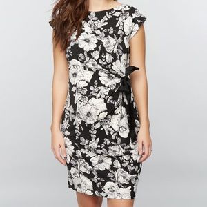 Pea in a Pod Maternity dress